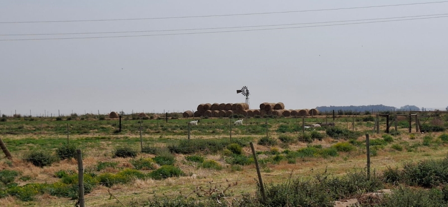  Bedroom Property for Sale in Bainsvlei Free State
